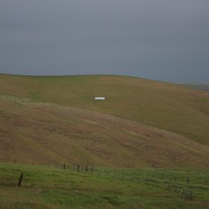 IMG 0700