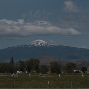 IMG 0807