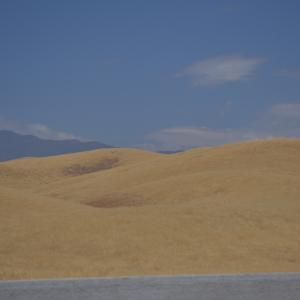 DSC 0047