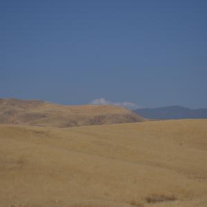 DSC 0049