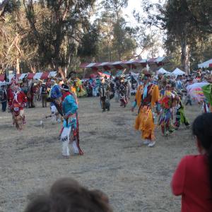 IMG 2696