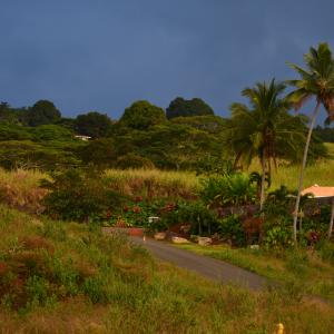 DSC 0221