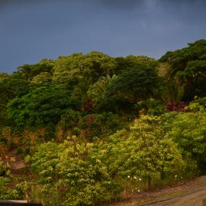 DSC 0225