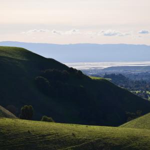 DSC 0105