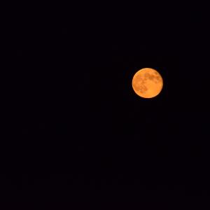 DSC 0119