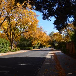 DSC 0140