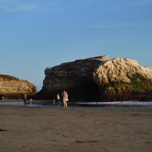 DSC 0257