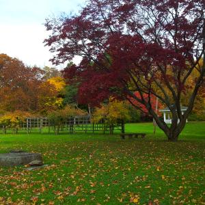 20131105 112718 S Portage Path