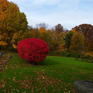 20131105 112730 S Portage Path