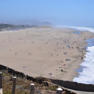 DSC 0055