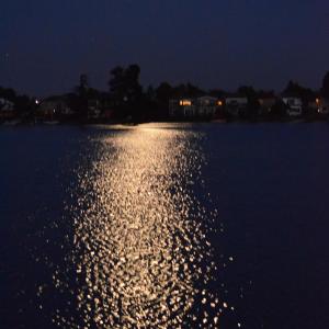 DSC 0070
