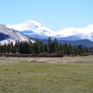 DSC 0090