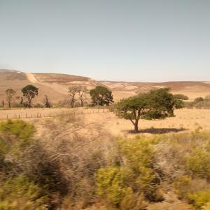 IMG 20160907 142716