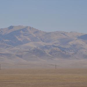 DSC 0245