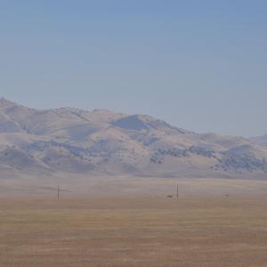 DSC 0247