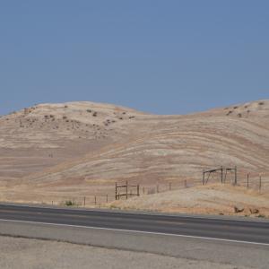 DSC 0252