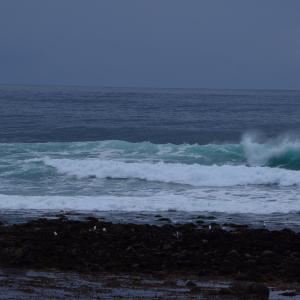 DSC 0868