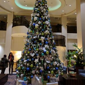 IMG 20171119 165916
