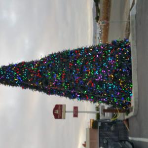 christmastree20191209 163803
